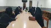 برگزاری نشست یادبود و واکاوی تاریخی «شهادت رئیس‌علی دلواری» در کتابخانه پیامبر اعظم (ص) تشان