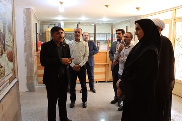 بازدید