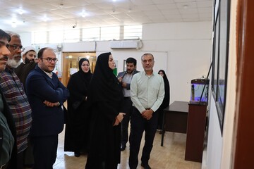 بازدید