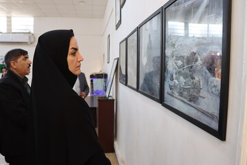 بازدید