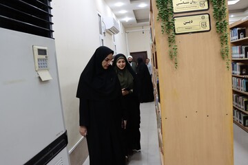 بازدید