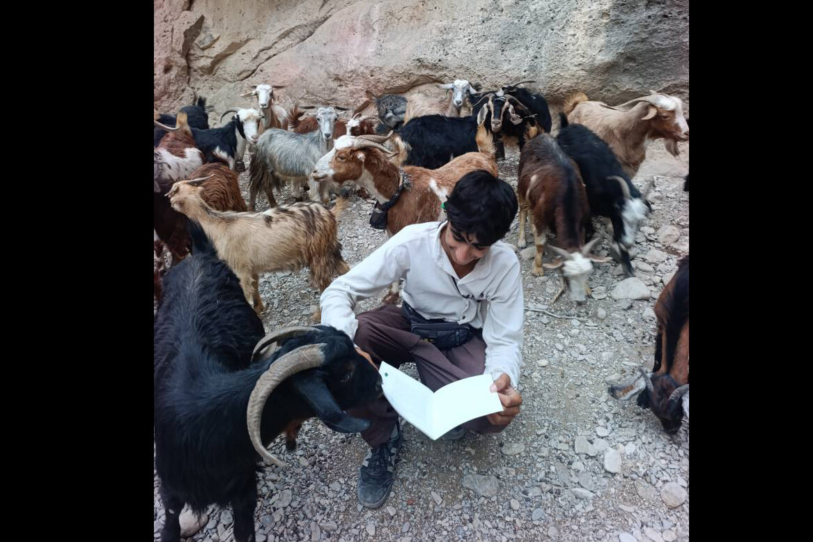 وقتی کتابخانه، راه بازگشت به نیمکت مدرسه می‌شود