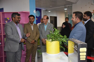 هم بازی