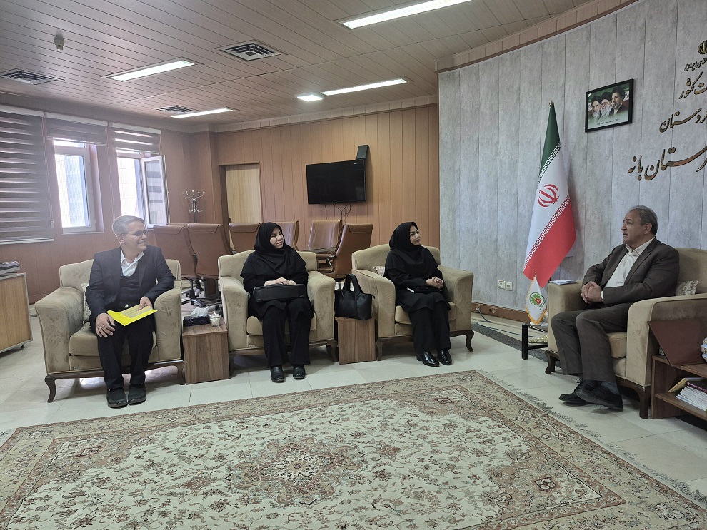 مسائل و نیازهای کتابخانه‌های عمومی شهرستان بانه بررسی شد