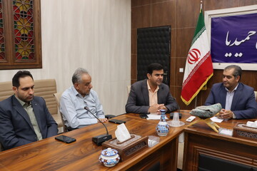 انجمن شهر حمیدیا