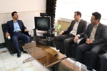 دانشگاه