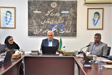 استاندار
