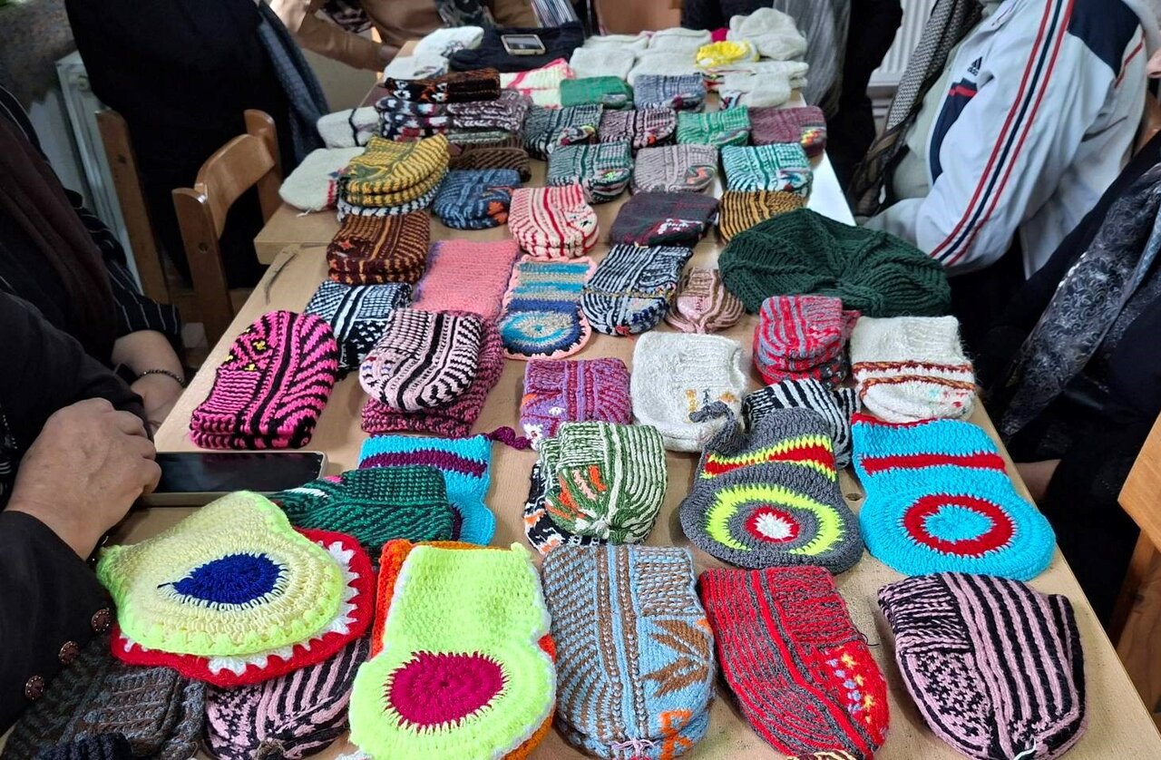برپایی نمایشگاه توانمندی‌های روستایی در روستای لیپا