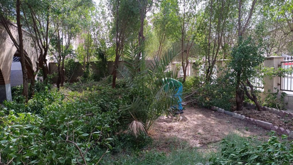 بهسازی و طراوتبخشی به فضای سبز کتابخانه شهید باهنر اهواز با همکاری شهرداری ناحیه ۶