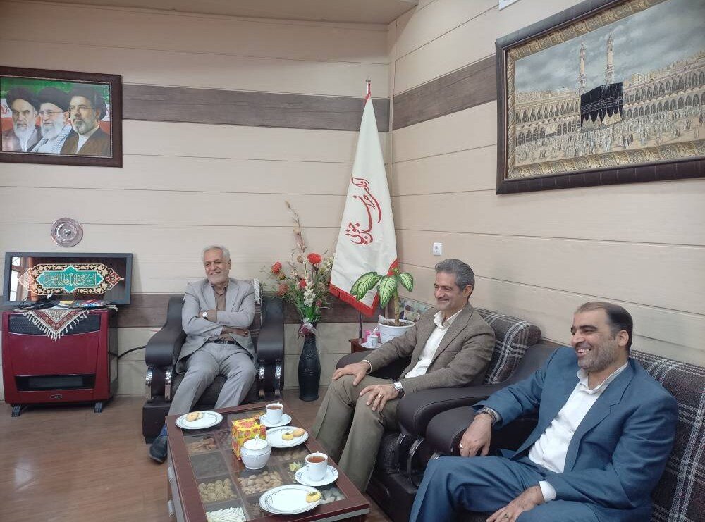 ضرورت تعامل مستمر کتابخانه‌های عمومی و رسانه‌ها در خراسان جنوبی