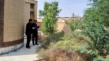 بازدید