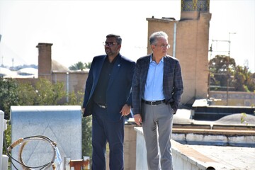 فنی