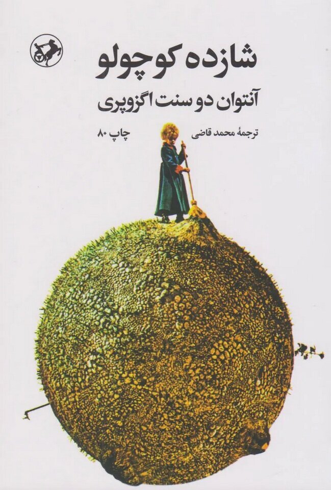 هشت تیم نوجوان فارس برای کسب عنوان برتر رقابت کردند